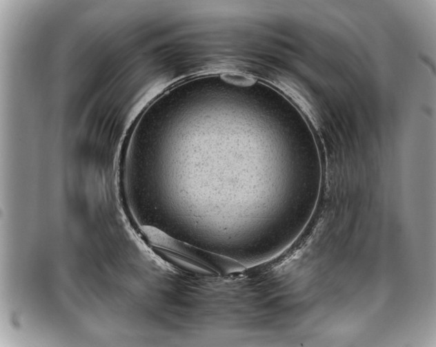 X0000096940949200802151212