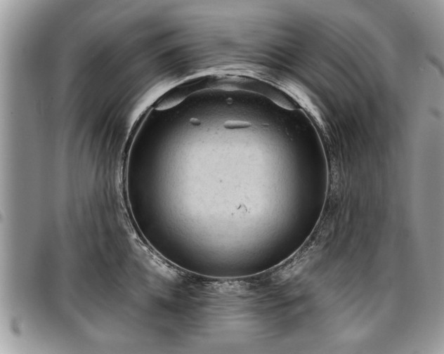 X0000096940952200802151212
