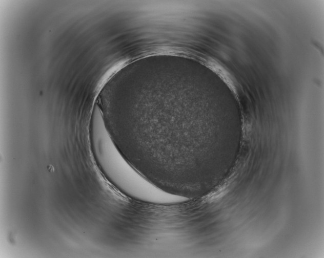 X0000096940954200802151212