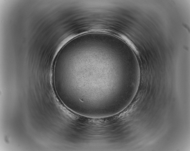 X0000096940955200802151212