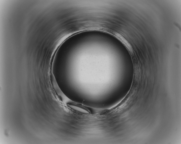 X0000096940956200802151212