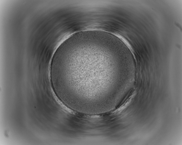X0000096940957200802151212