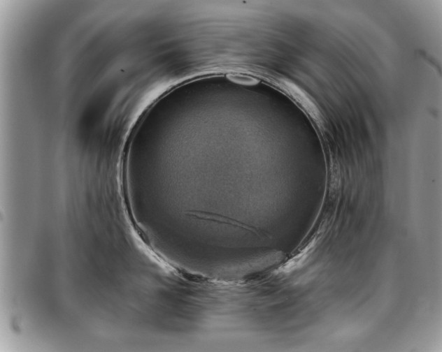 X0000096940958200802151212