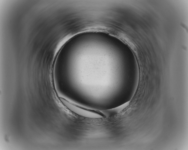 X0000096940960200802151212