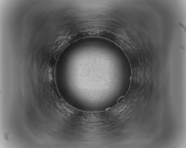 X0000096940962200802151211