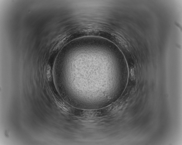 X0000096940963200802151211