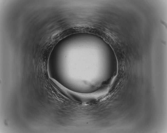 X0000096940965200802151211