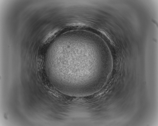 X0000096940967200802151211