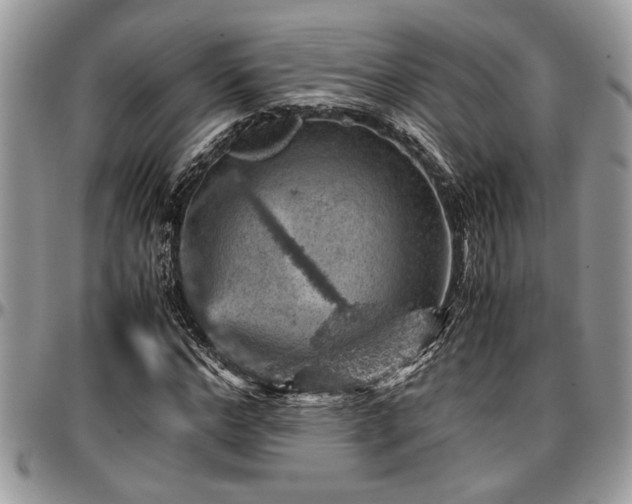 X0000096940968200802151211