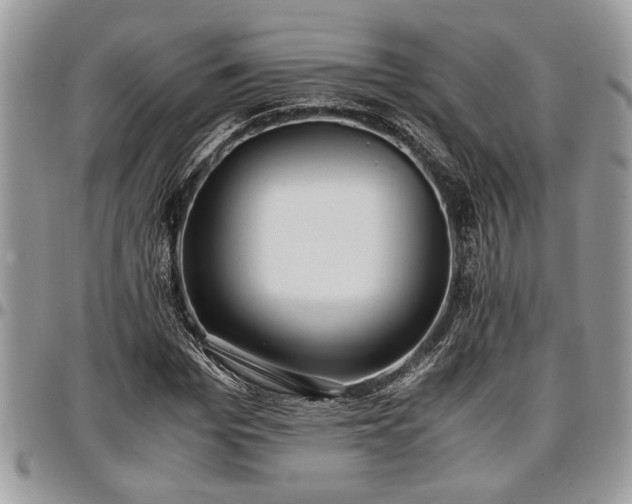 X0000096940969200802151211
