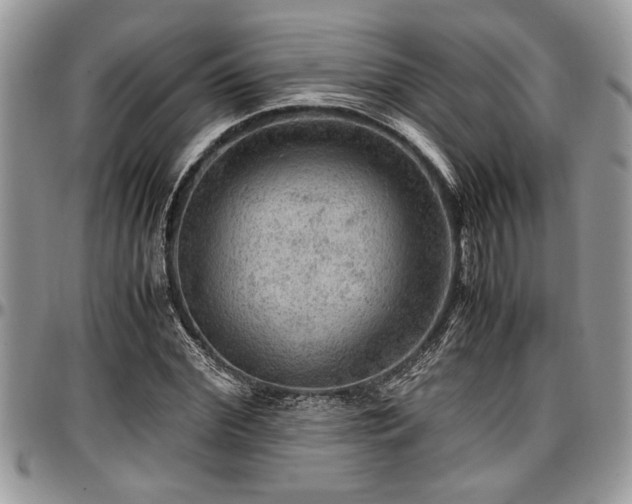 X0000096940972200802151211