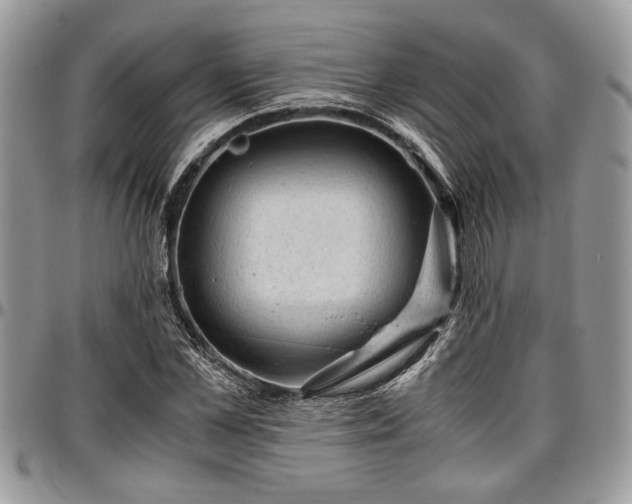 X0000096940973200802151211