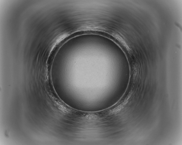 X0000096940974200802151211