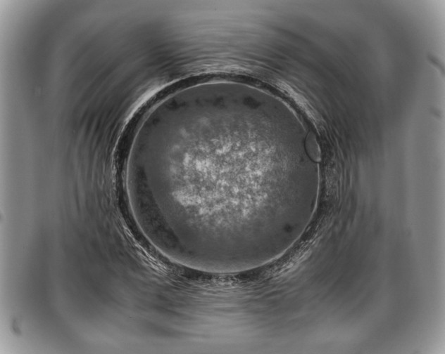 X0000096940975200802151211