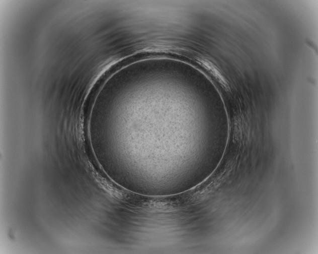 X0000096940976200802151211