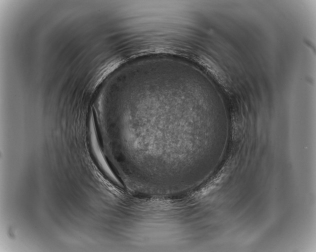 X0000096940977200802151211