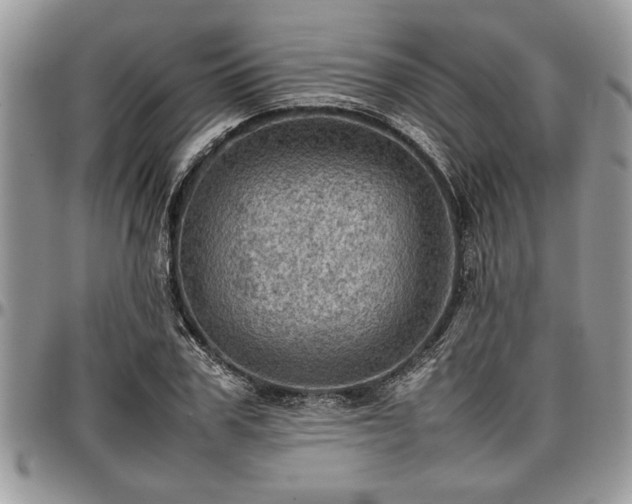 X0000096940979200802151211