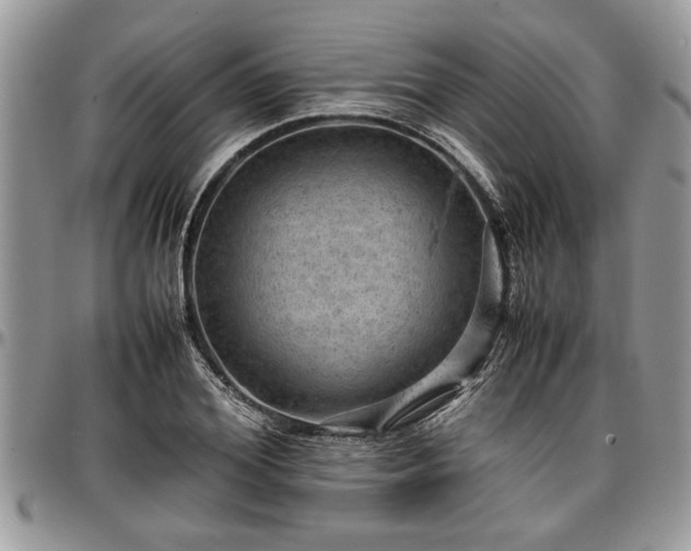 X0000096940980200802151211