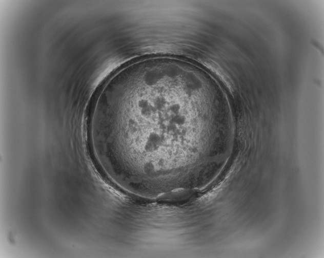 X0000096940983200802151211