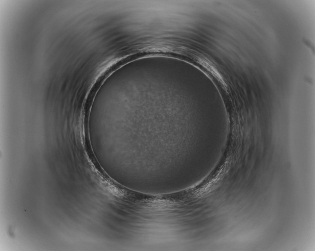 X0000096940984200802151211