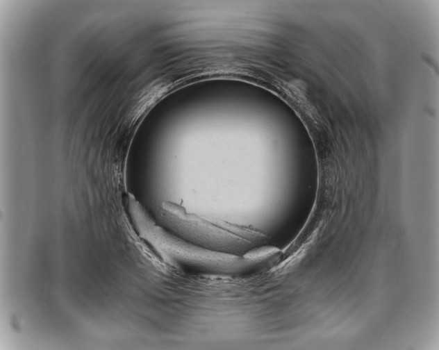 X0000096940985200802151211