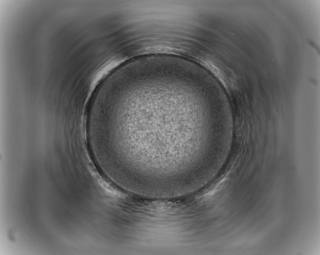 X0000096940987200802151211