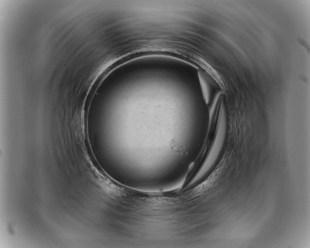 X0000096940988200802151211