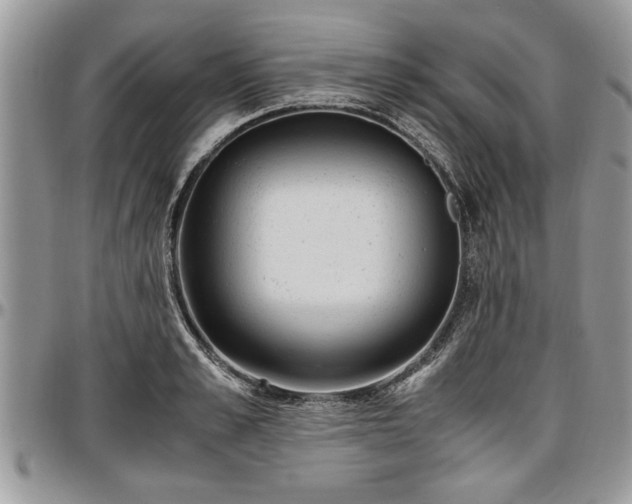 X0000096940989200802151211