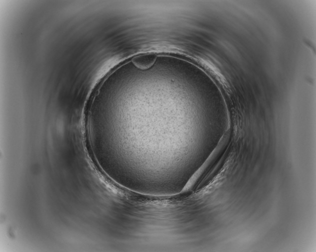 X0000096940990200802151211