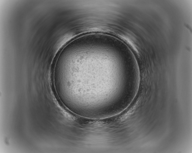 X0000096940991200802151211