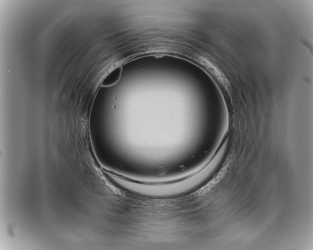 X0000096940993200802151211