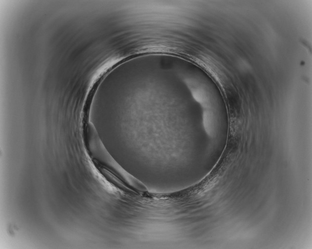 X0000096940995200802151210