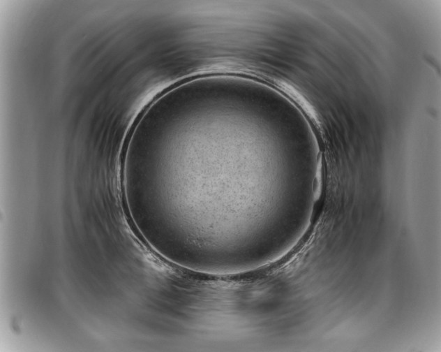 X0000096940996200802151210