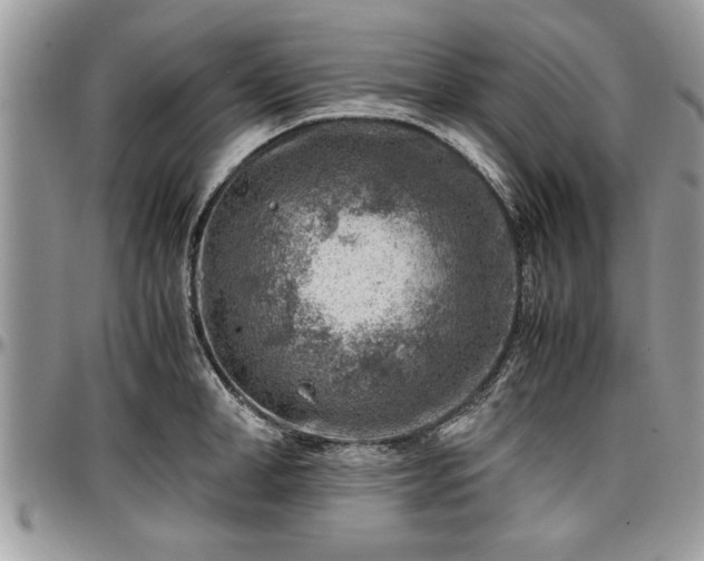 X0000096940998200802151210