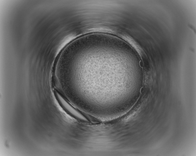 X0000096940999200802151210