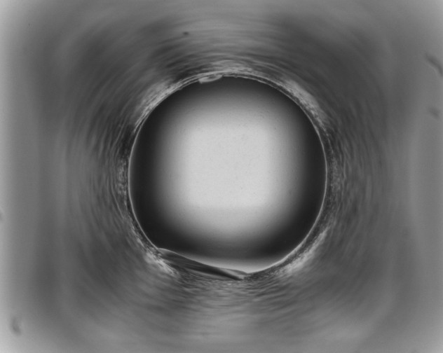 X0000096941001200802151210