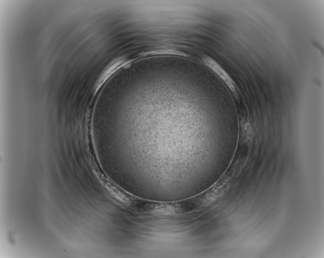 X0000096941002200802151210