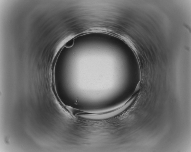X0000096941003200802151210