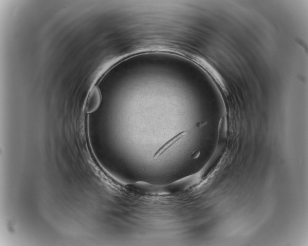 X0000096941004200802151210