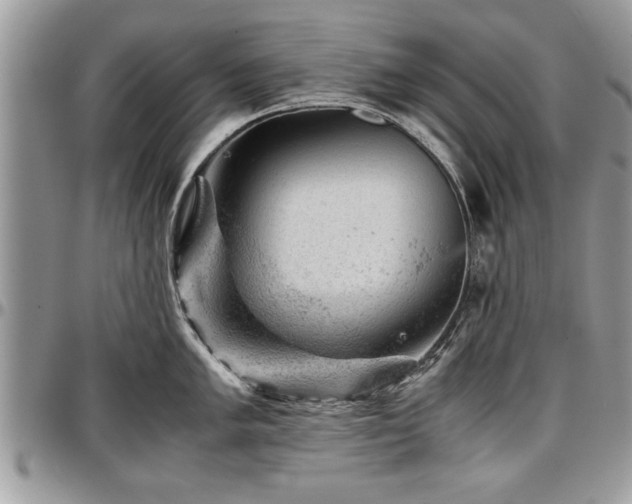X0000096941005200802151210
