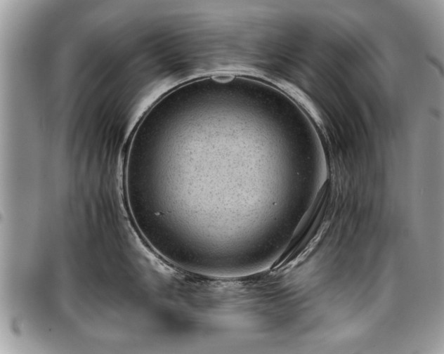 X0000096941006200802151210