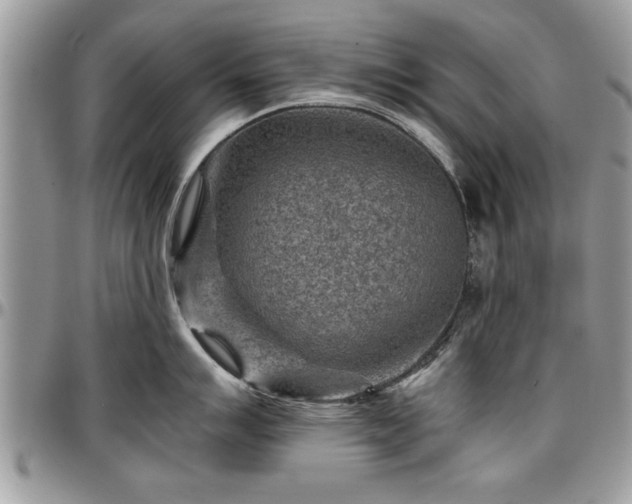 X0000096941007200802151210