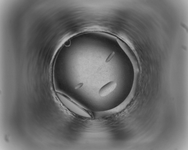 X0000096941008200802151210