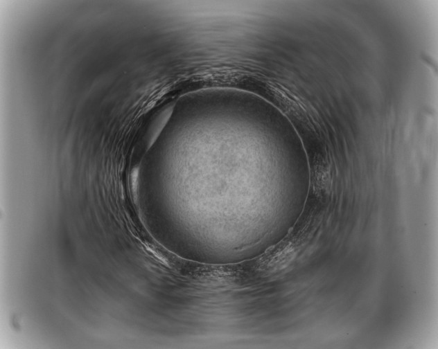 X0000096941010200802151210