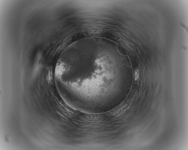 X0000096941011200802151210