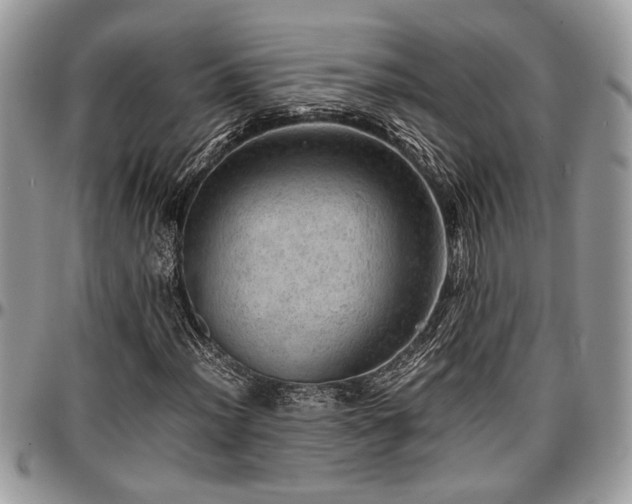 X0000096941012200802151210