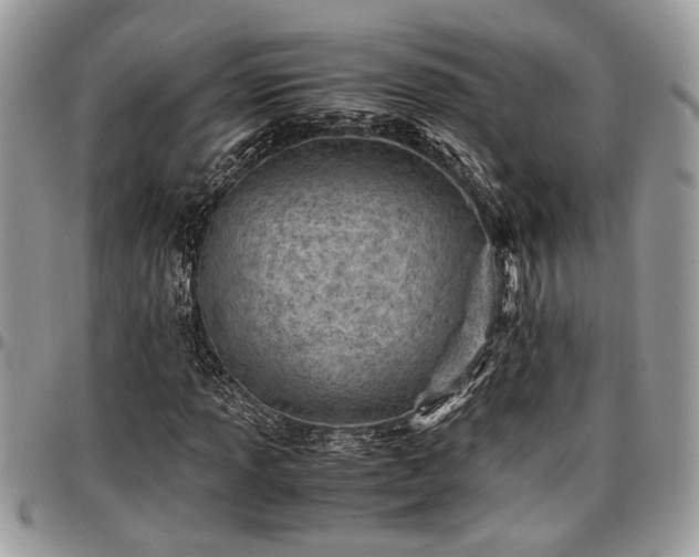 X0000096941013200802151210