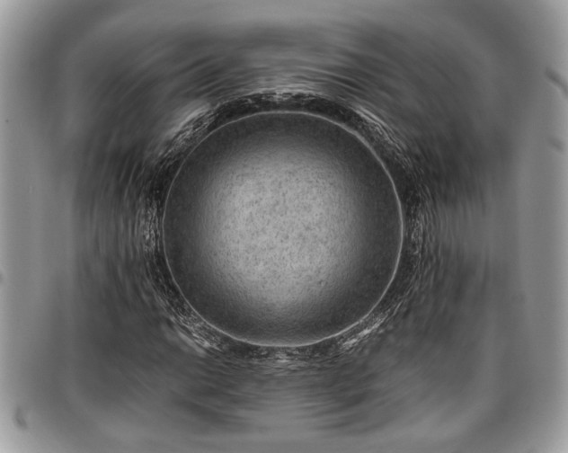 X0000096941014200802151210