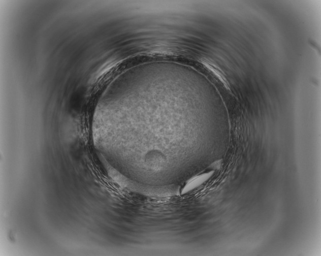 X0000096941015200802151210