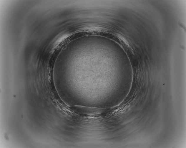 X0000096941016200802151210